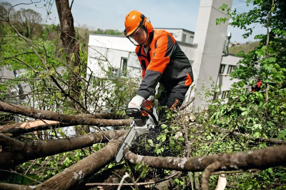 Pila Stihl MS 261